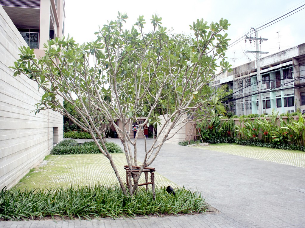 Unit & Project Photos 3