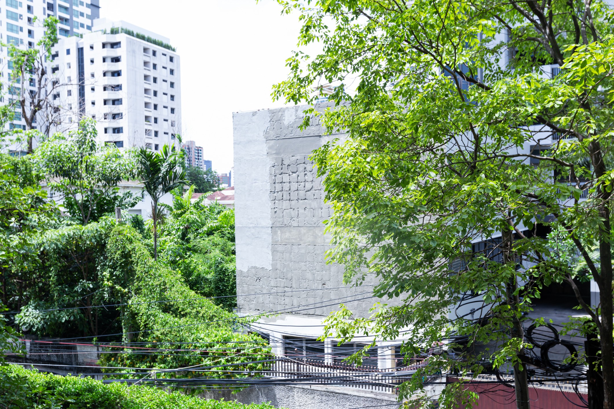 เวีย 31