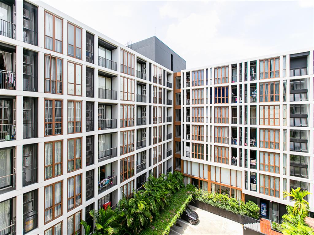 hasu HAUS