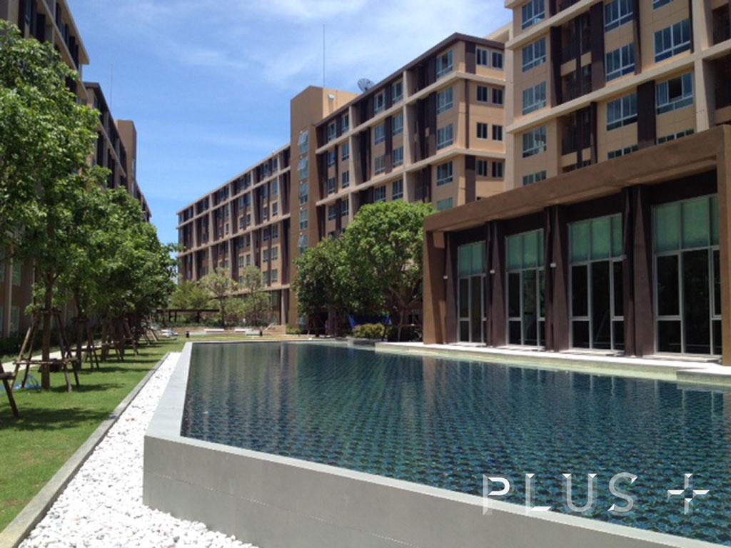 dcondo Campus Rangsit
