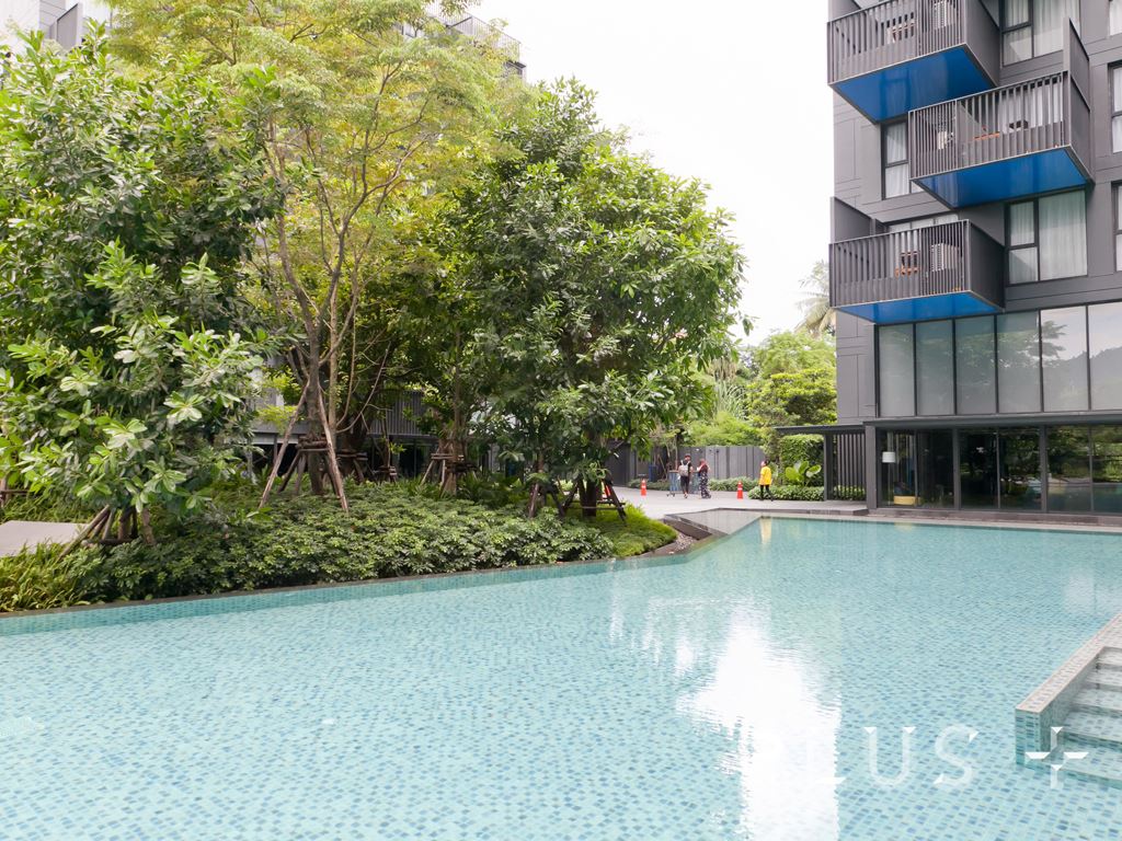 The Deck Patong