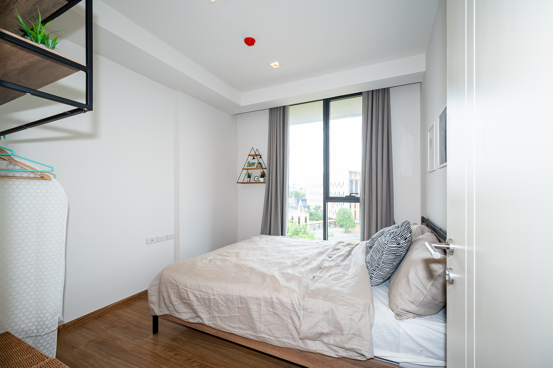 hasu HAUS