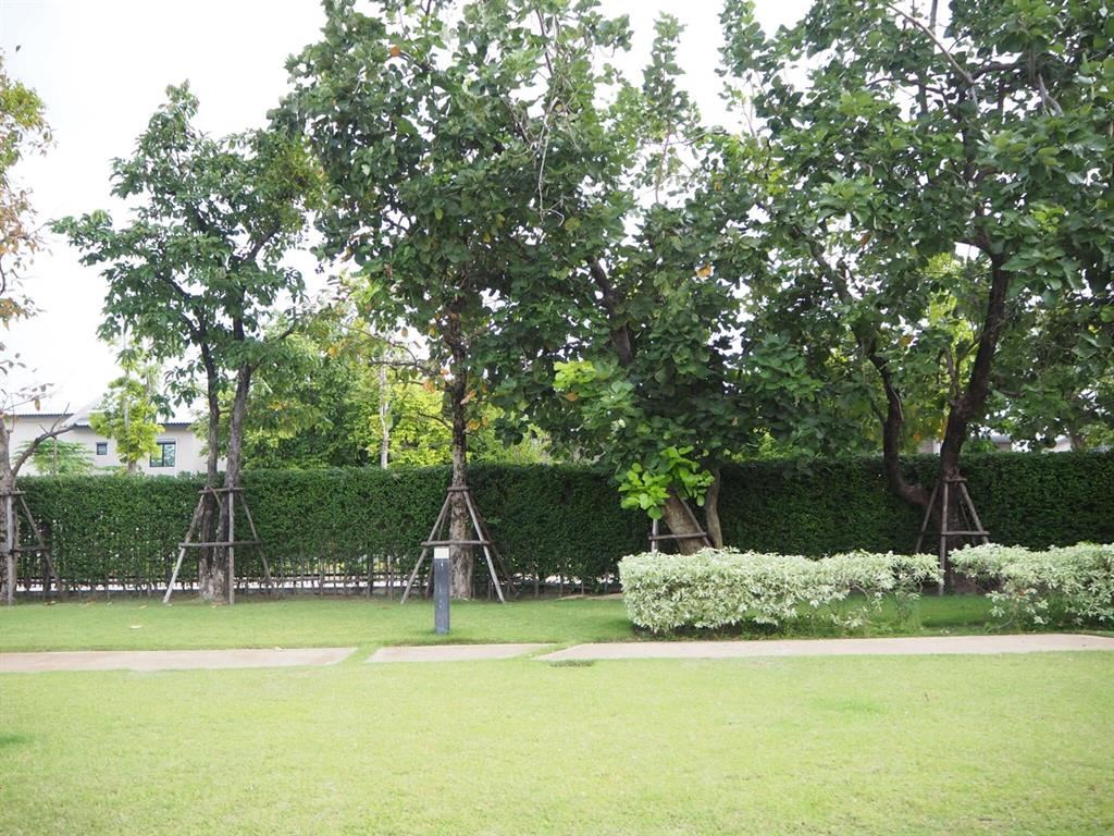 Unit & Project Photos 2