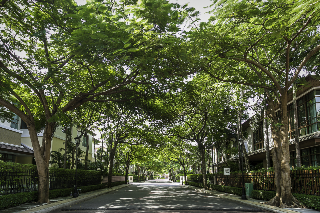 Baan Sansiri Sukhumvit 67
