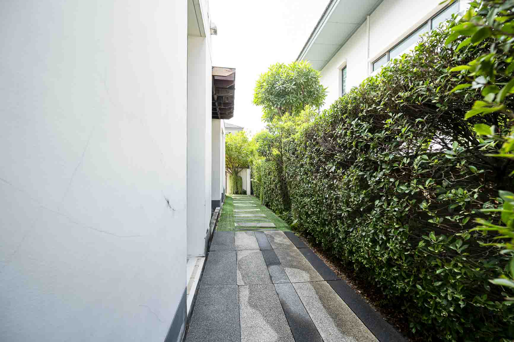 Setthasiri Chaengwattana - Prachachuen